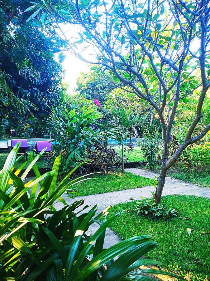 Mango Moon Hotel Pemuteran  Ngoại thất bức ảnh