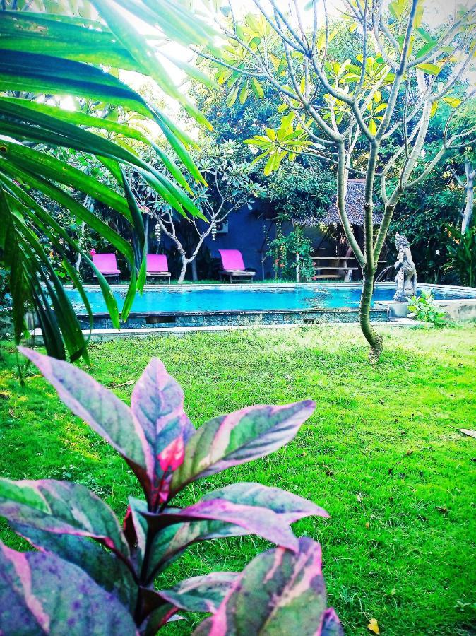 Mango Moon Hotel Pemuteran  Ngoại thất bức ảnh