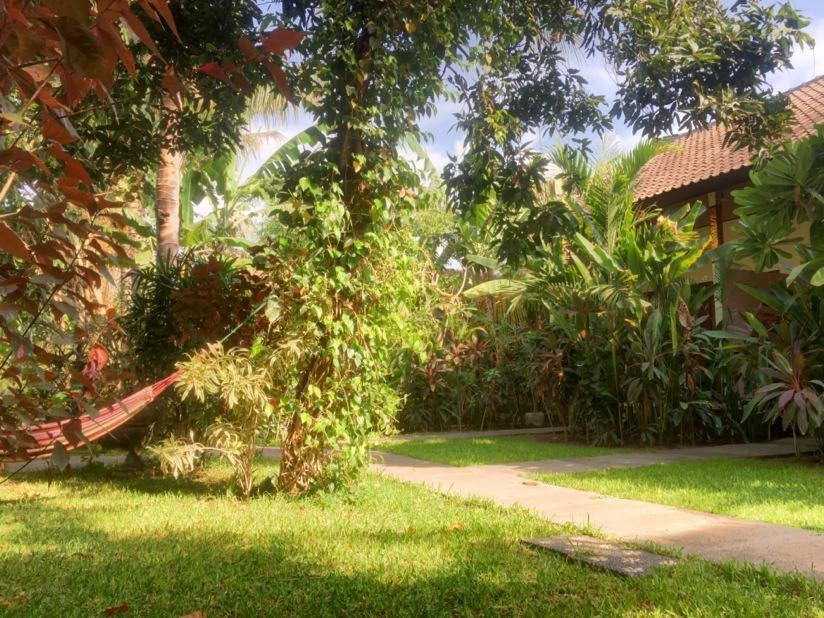 Mango Moon Hotel Pemuteran  Ngoại thất bức ảnh